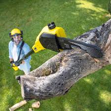 Best Tree Disease Treatment  in Ester, AK